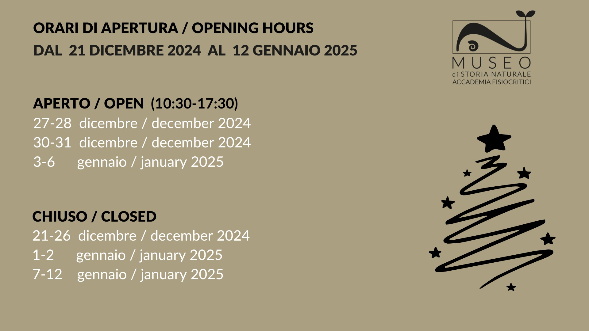 Orari di apertura Museo - festività 2024